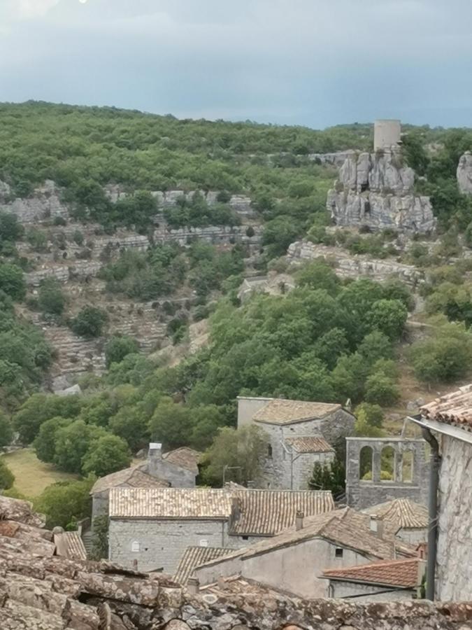 Holiday home Maison Du Troubadour